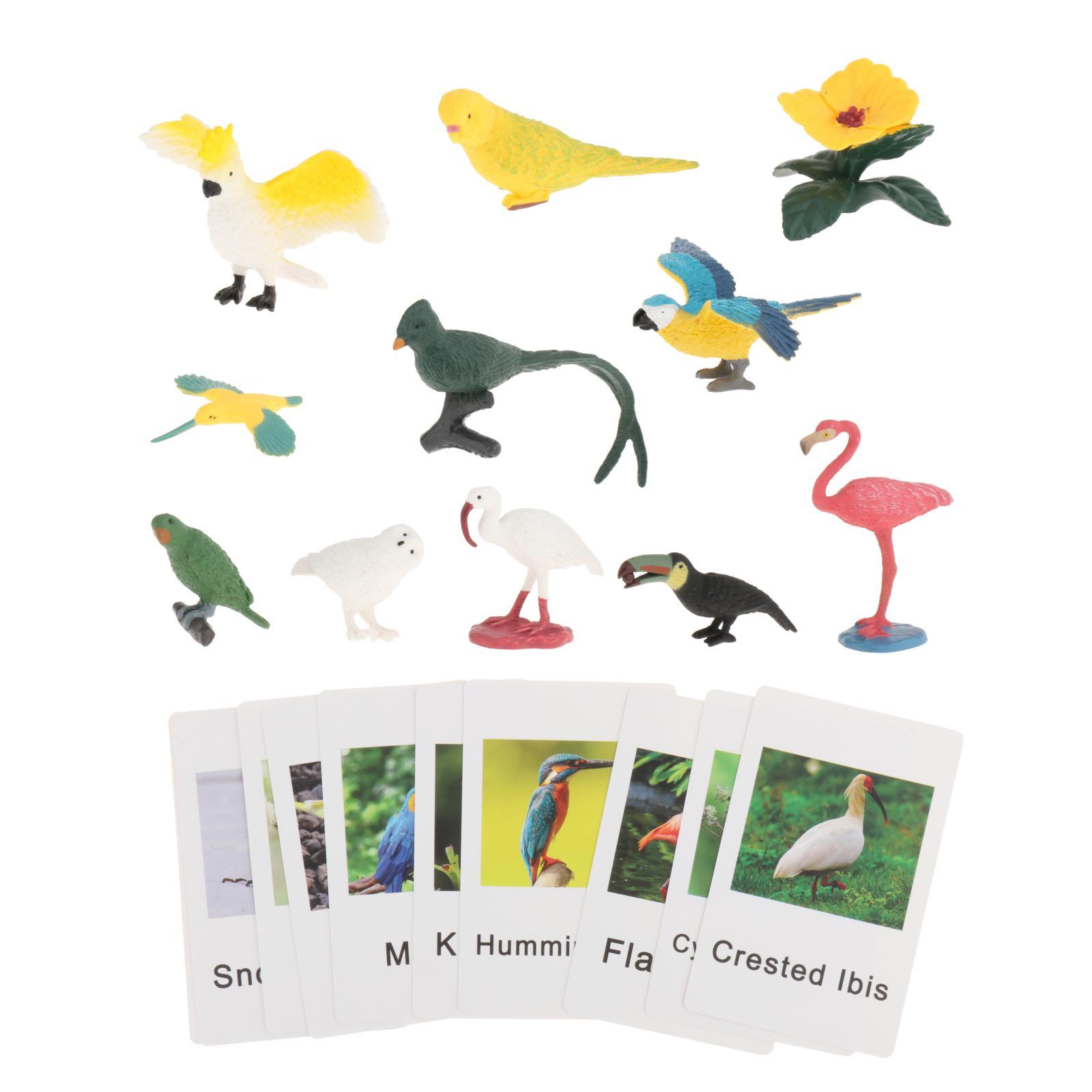 Figurki zwierząt Montessori z  – Science Nature recenzja i cena