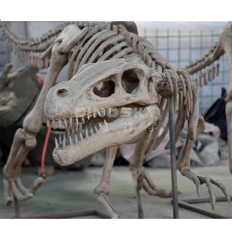 Model dinozaura Raptor z żywic – Science Exhibition Models recenzja i cena